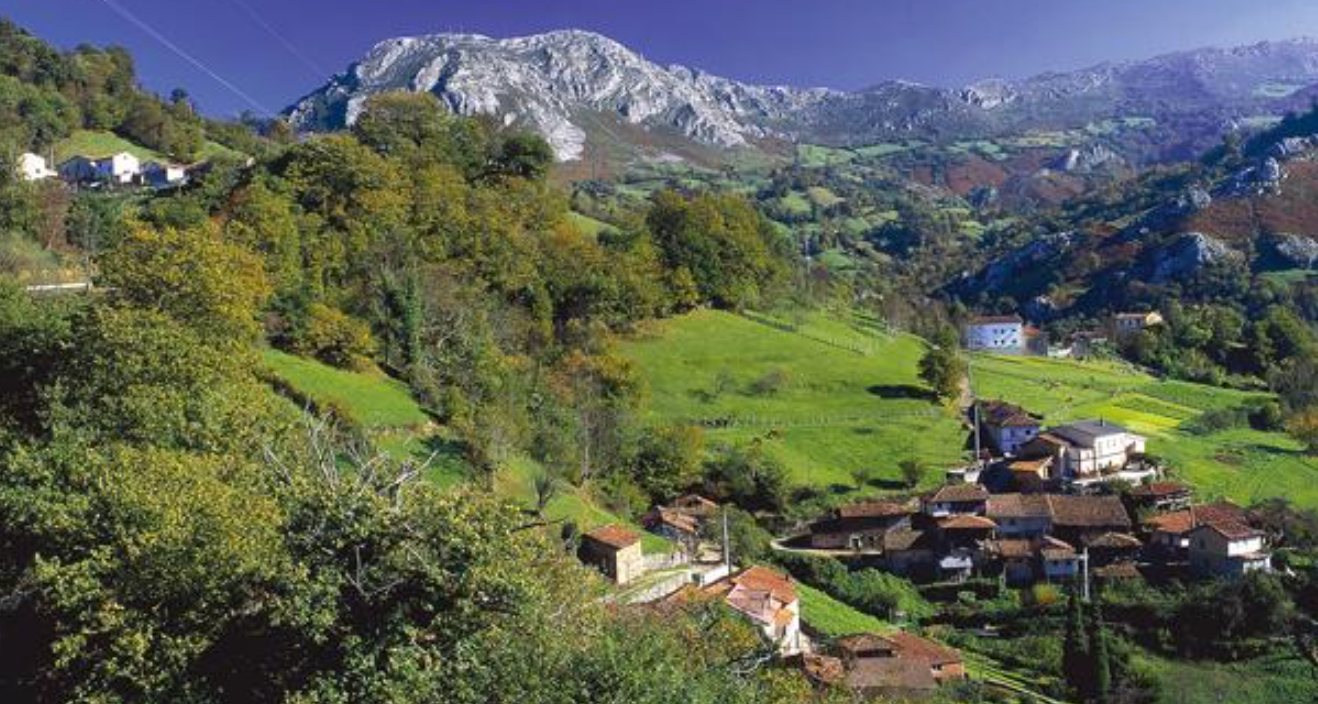 La Receta del Día, con Luis Javier del Valle La Receta del Día, con Luis Javier del Valle