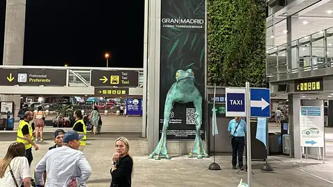 La Rana de la Suerte da la bienvenida a los viajeros en el Aeropuerto de Málaga La Rana de la Suerte da la bienvenida a los viajeros en el Aeropuerto de Málaga