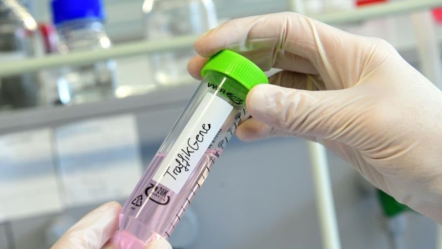 Sanidad avala la primera inyección subcutánea de inmunoterapia para varios tipos de cáncer Sanidad avala la primera inyección subcutánea de inmunoterapia para varios tipos de cáncer