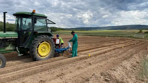 El Geoparque Las Loras sigue adelante en su apuesta por promover el cultivo de patata de siembra ecológica .