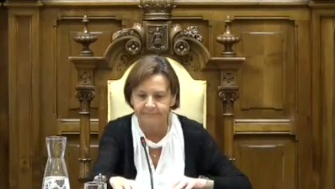 Carmen Moriy&oacute;n ha comparecido en el pleno