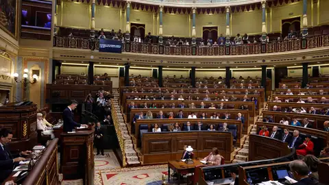 El Congreso debate las propuestas de Vox y Podemos a la reforma del CGPJ impulsada por PP y PSOE El Congreso debate las propuestas de Vox y Podemos a la reforma del CGPJ impulsada por PP y PSOE