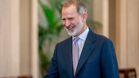 El Rey Felipe VI 