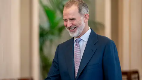 El Rey Felipe VI El Rey Felipe VI