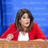 La portavoz del Grupo Parlamentario Socialista, Ángeles Férriz, durante la ronda de ruedas de prensa de portavoces de los grupos parlamentarios en el Parlamento de Andalucía, a 10 de Julio de 2024 en Sevilla (Andalucía, España). La portavoz del Grupo Parlamentario Socialista, Ángeles Férriz, durante la ronda de ruedas de prensa de portavoces de los grupos parlamentarios en el Parlamento de Andalucía, a 10 de Julio de 2024 en Sevilla (Andalucía, España).