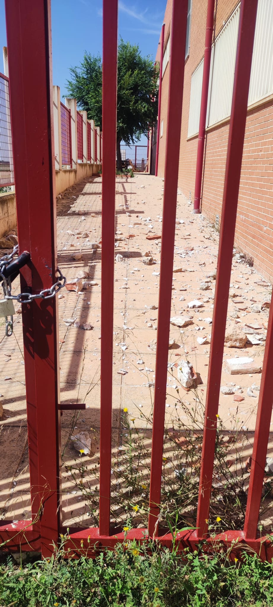 El Instituto 'Pascual Serrano' de Alpera sufre actos vandálicos El Instituto 'Pascual Serrano' de Alpera sufre actos vandálicos