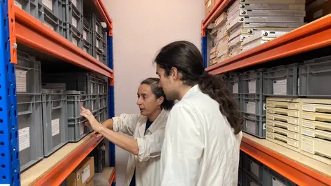 La Diputación de Alicante impulsa los trabajos de inventario del MUPE de Elche Subvención de 6.000€ para el Museo Paleontológico de Elche.