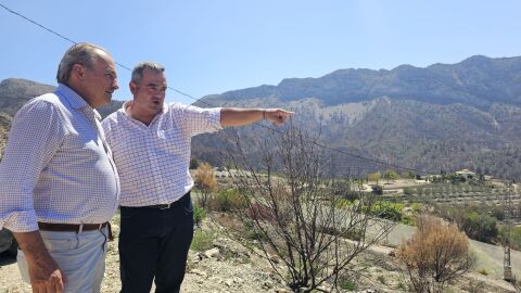 Agricultura estudia medidas para recuperar parcelas dañadas por el fuego en Tárbena y ampliar los tipos de cultivos Agricultura estudia medidas para recuperar parcelas dañadas por el fuego en Tárbena y ampliar los tipos de cultivos