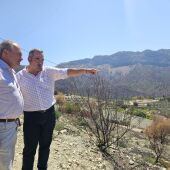 Agricultura estudia medidas para recuperar parcelas dañadas por el fuego en Tárbena y ampliar los tipos de cultivos