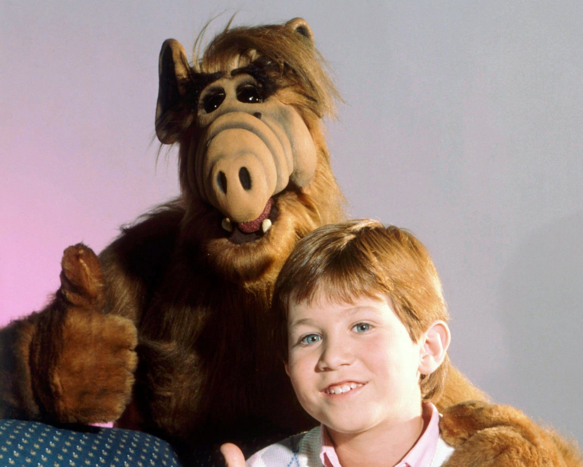 Encuentran el cuerpo sin vida de Benji Gregory, estrella de la serie 'ALF', a los 46 años. Encuentran el cuerpo sin vida de Benji Gregory, estrella de la serie 'ALF', a los 46 años.