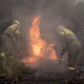 WWF propone medidas urgentes de restauración ecológica para prevenir incendios forestales