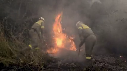 La naturaleza del fuego: por qué se originan incendios forestales