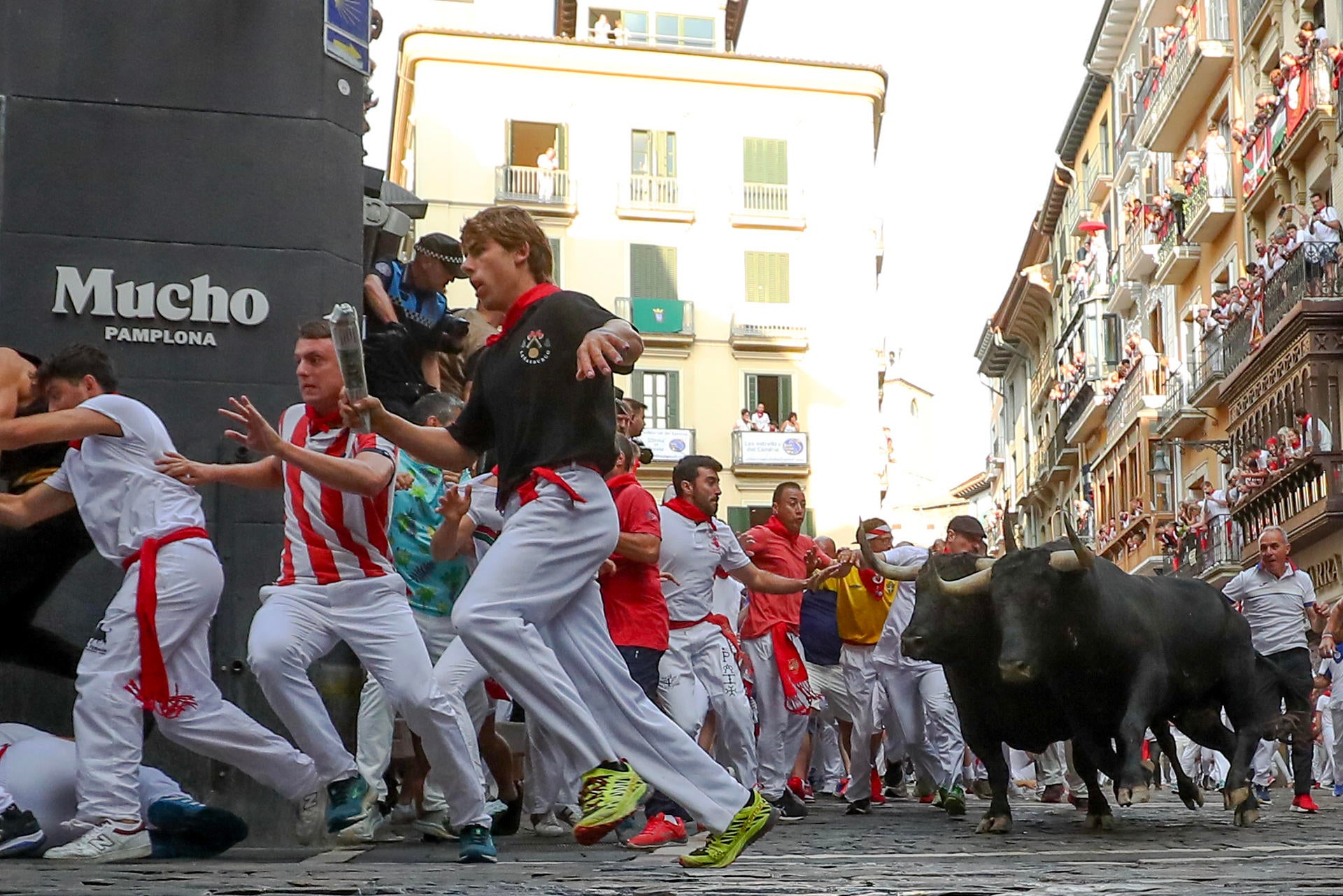 Los toros de Domingo Hernández Martín debutan con la carrera más veloz de este 2024 Los toros de Domingo Hernández Martín debutan con la carrera más veloz de este 2024