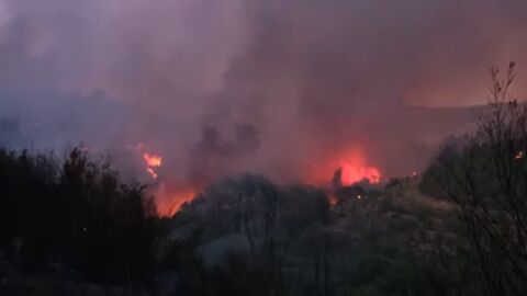 WWF propone medidas urgentes de restauraci&oacute;n ecol&oacute;gica para prevenir incendios forestales