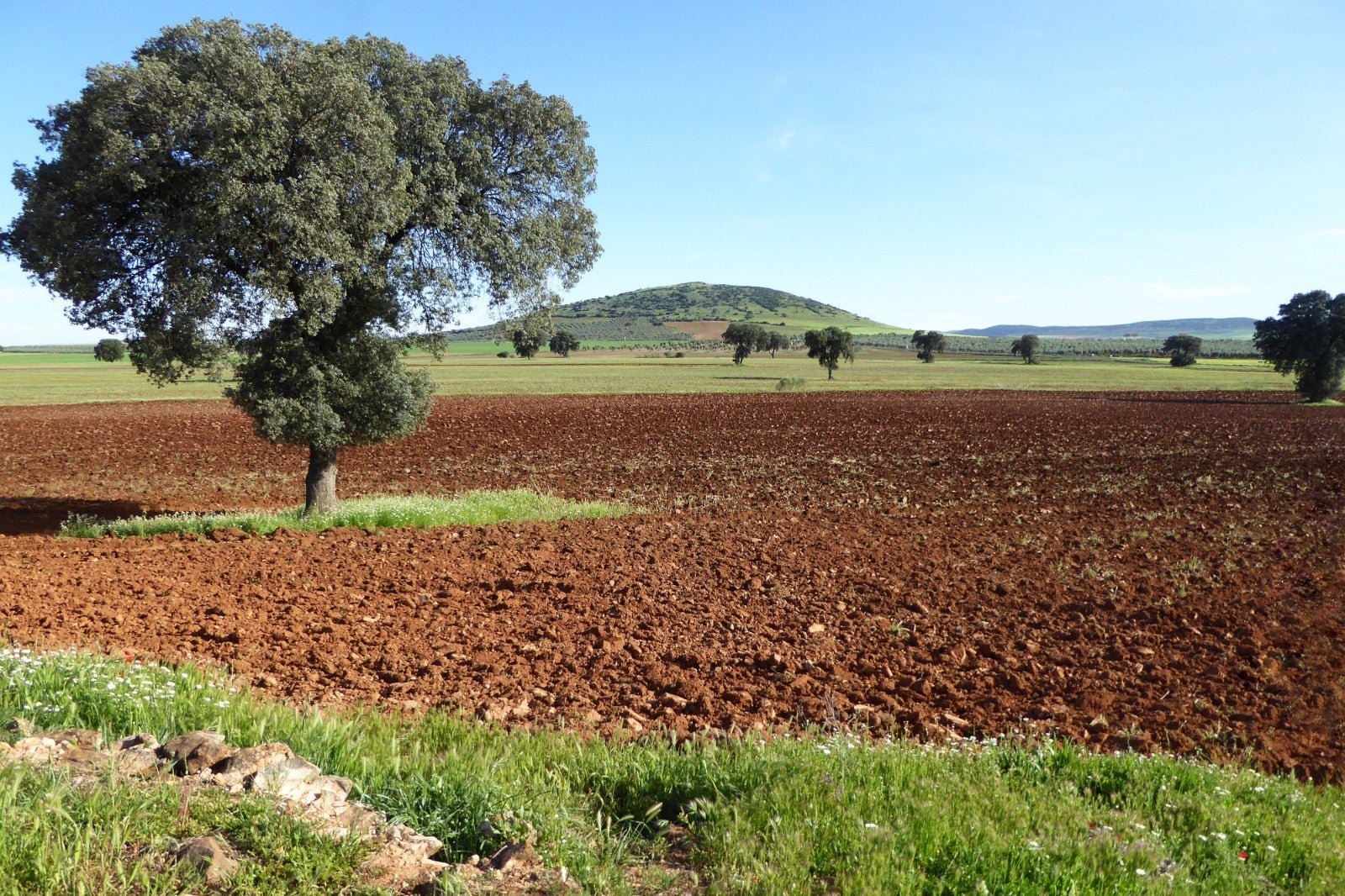 Santa Cruz de Mudela aprueba por unanimidad una declaración institucional contra el proyecto de tierras raras Santa Cruz de Mudela aprueba por unanimidad una declaración institucional contra el proyecto de tierras raras