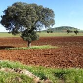 Zona afectada por el proyecto de Neodimio en Santa Cruz de Mudela