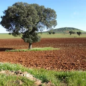 Zona afectada por el proyecto de Neodimio en Santa Cruz de Mudela Zona afectada por el proyecto de Neodimio en Santa Cruz de Mudela