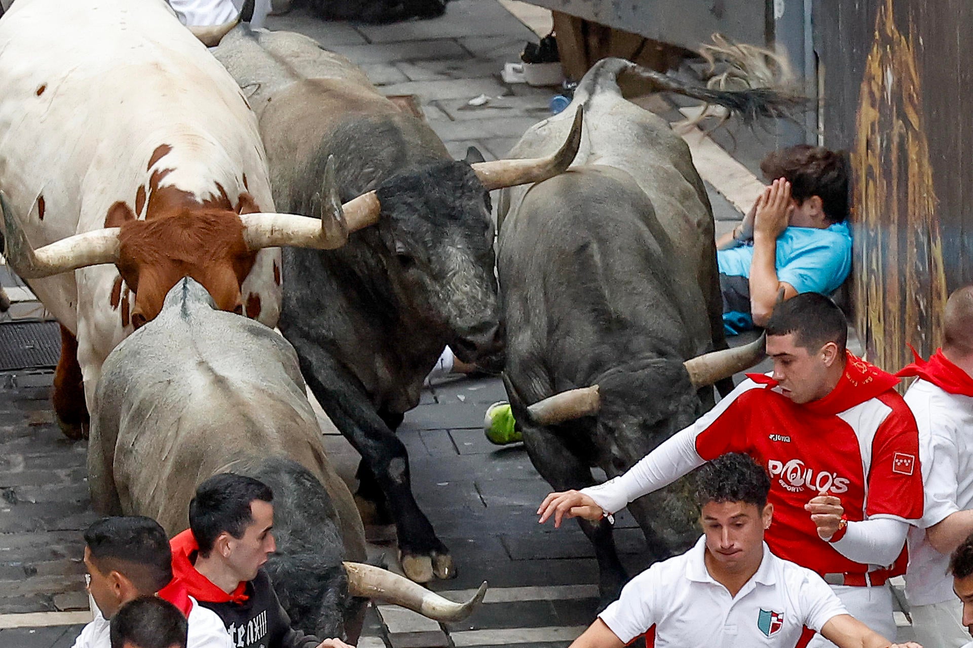 Los toros de José Escolar protagonizan un rápido y peligroso séptimo encierro que deja siete heridos Los toros de José Escolar protagonizan un rápido y peligroso séptimo encierro que deja siete heridos
