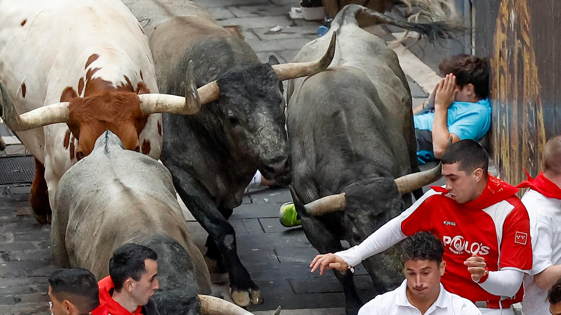Séptimo encierro de San Fermín 2024 Séptimo encierro de San Fermín 2024