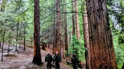 Monumento Natural de las Secuoyas en Cabezón de la Sal Monumento Natural de las Secuoyas en Cabezón de la Sal