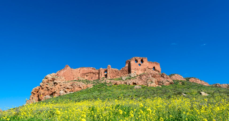 Catorce universitarios participan en el proyecto arqueológico del Castillo de la Estrella en Montiel Catorce universitarios participan en el proyecto arqueológico del Castillo de la Estrella en Montiel