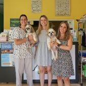Campaña de vacunación canina de Finestrat