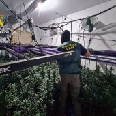 Desmanteladas dos plantaciones de marihuana en viviendas de Trujillanos y detenidos sus dos responsables