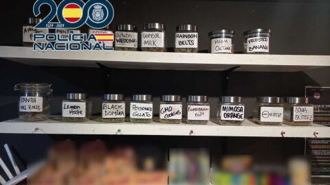 Cuatro detenidos en Benidorm por venta de drogas en locales camuflados como asociaciones cann&aacute;bicas