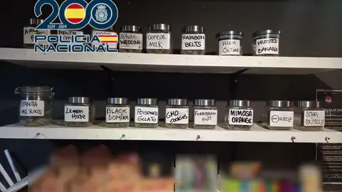 Cuatro detenidos en Benidorm por venta de drogas en locales camuflados como asociaciones cannábicas Cuatro detenidos en Benidorm por venta de drogas en locales camuflados como asociaciones cannábicas