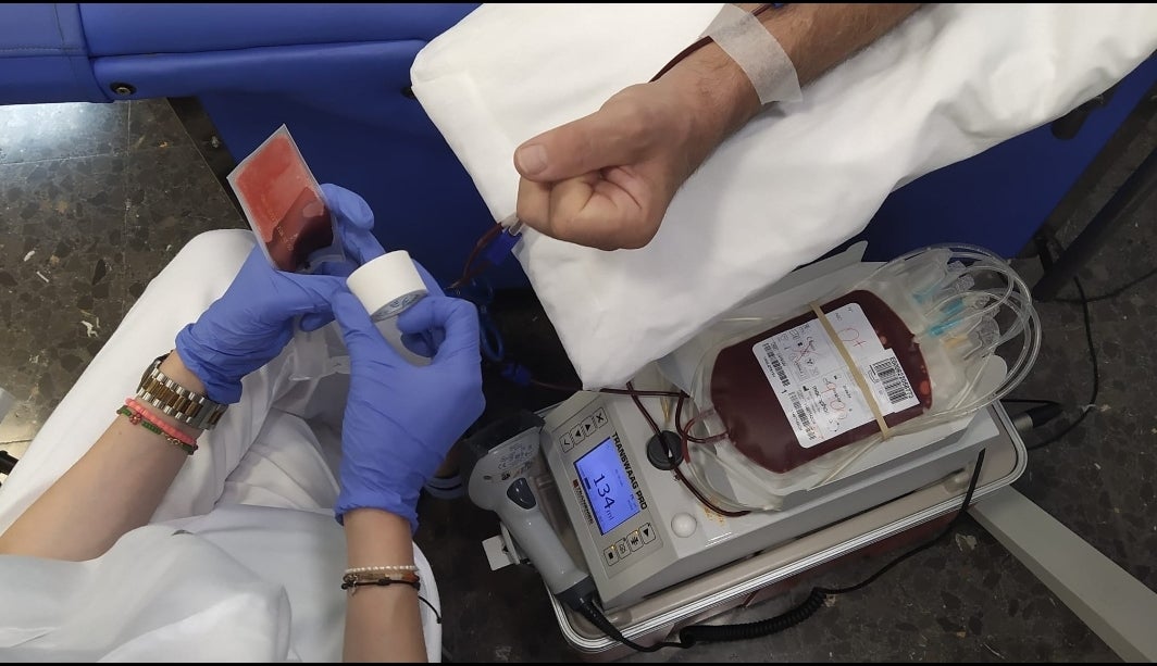 La mayor satisfacción del verano: dona sangre y únete a 'la fábrica de la vida' La mayor satisfacción del verano: dona sangre y únete a 'la fábrica de la vida'