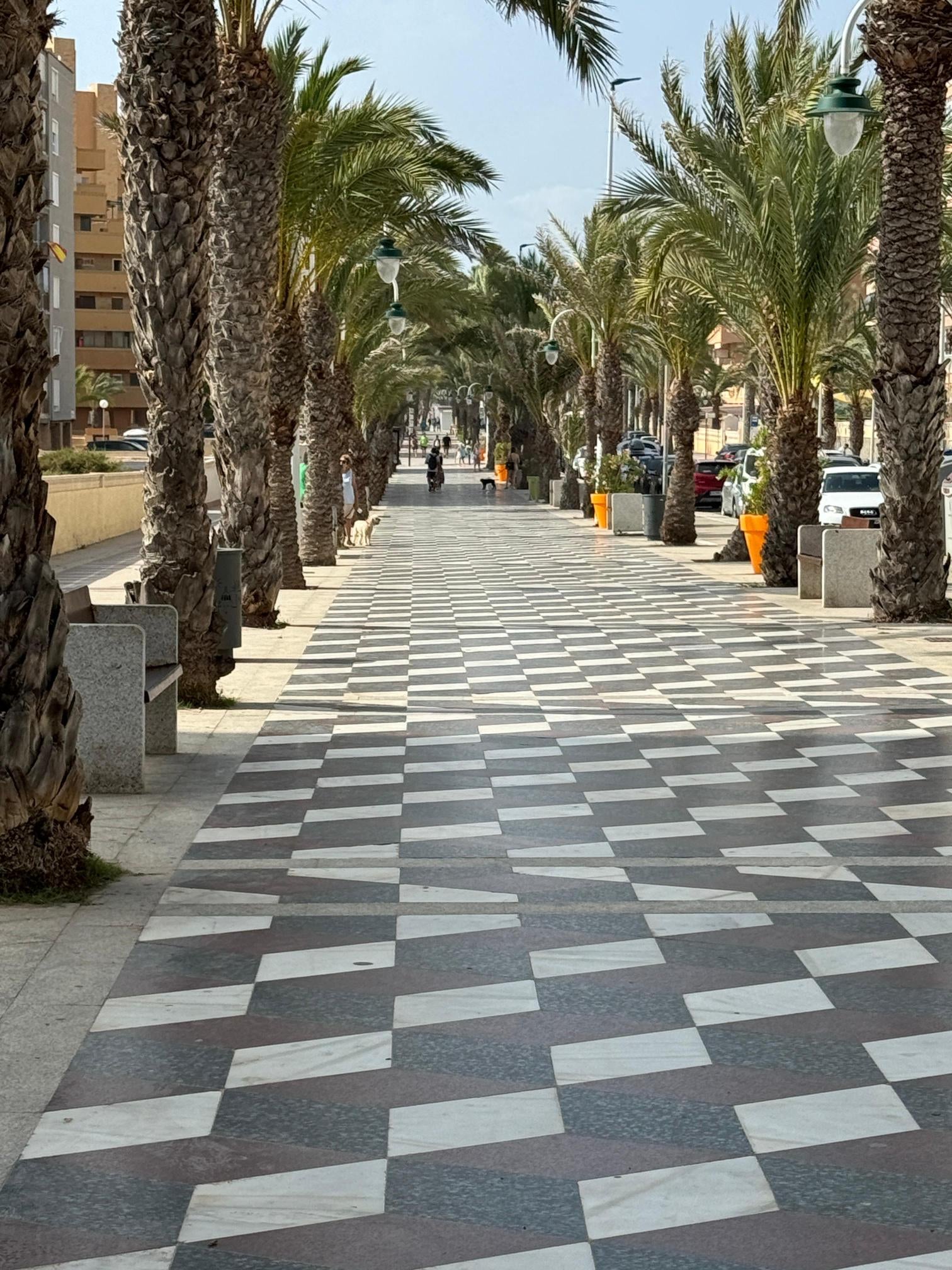 Aigües d’Elx hará un tanque de tormentas en la avenida San Bartolomé de Tirajana de Los Arenales del Sol Aigües d’Elx hará un tanque de tormentas en la avenida San Bartolomé de Tirajana de Los Arenales del Sol