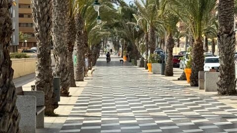 Avenida San Bartolom&eacute; de Tirajana de Los Arenales del Sol de Elche. 