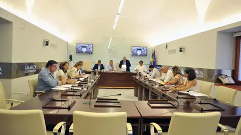 Los grupos aprueban 39 comparecencias en la comisión sobre financiación autonómica, que concluirá sus trabajos en mayo del 2025 Los grupos aprueban 39 comparecencias en la comisión sobre financiación autonómica, que concluirá sus trabajos en mayo del 2025