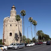 Imagen del Paseo de Colón, en Sevilla - EUROPA PRESS - Imagen del Paseo de Colón, en Sevilla - EUROPA PRESS -