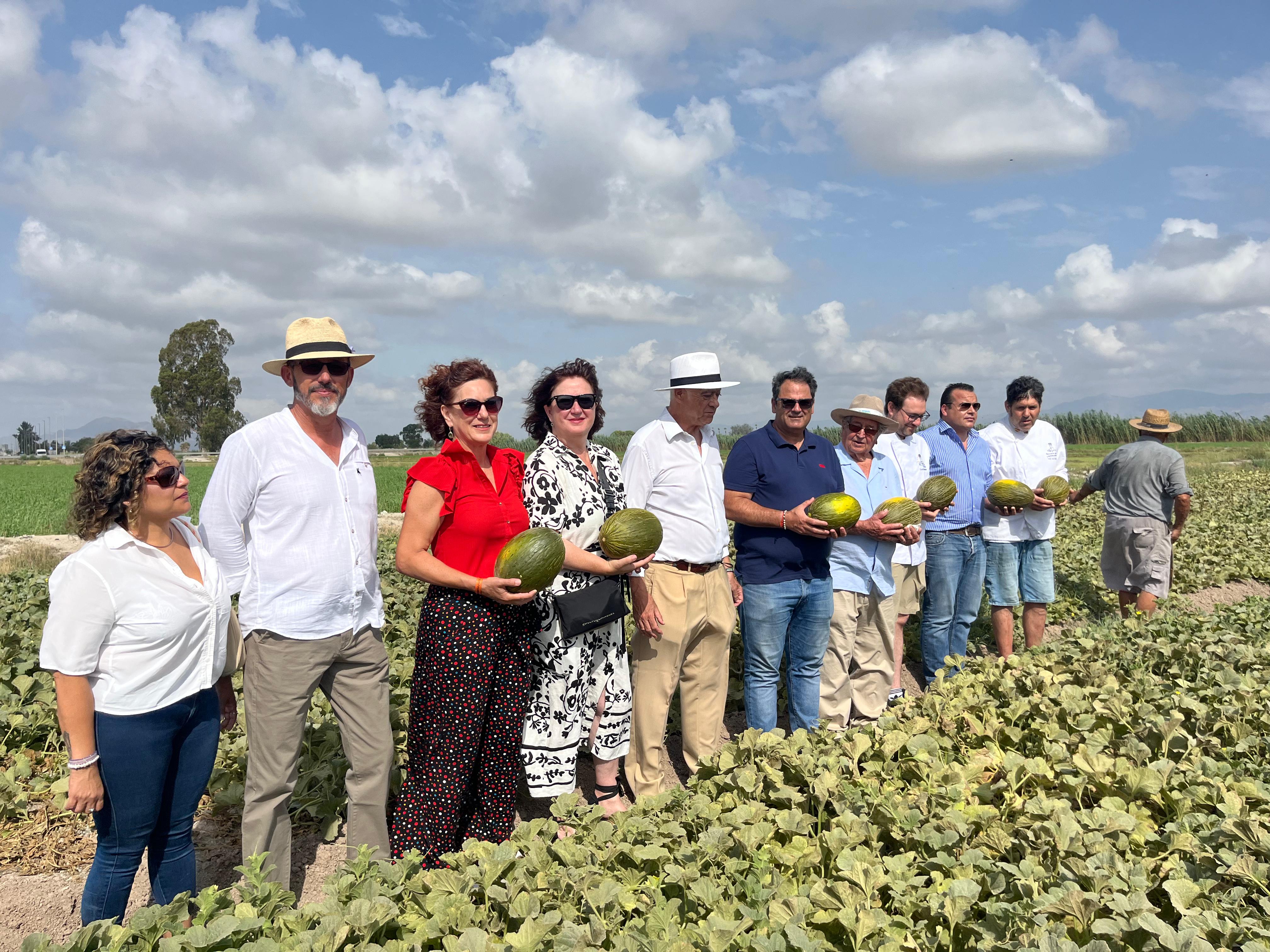 Dolores acoge el acto simbólico del primer corte del melón de carrizales autóctono Dolores acoge el acto simbólico del primer corte del melón de carrizales autóctono