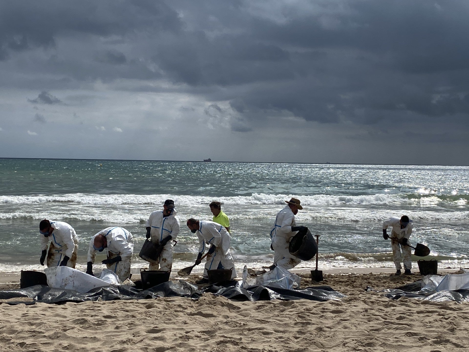 La playa de El Saler mejora progresivamente tras la llegada de chapapote a su costa La playa de El Saler mejora progresivamente tras la llegada de chapapote a su costa