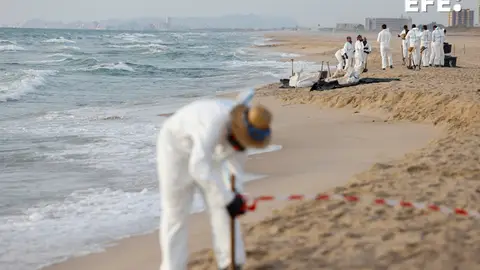 Varios operarios trabajan en la limpieza de la playa afectada por el vertido de hidrocarburos Varios operarios trabajan en la limpieza de la playa afectada por el vertido de hidrocarburos