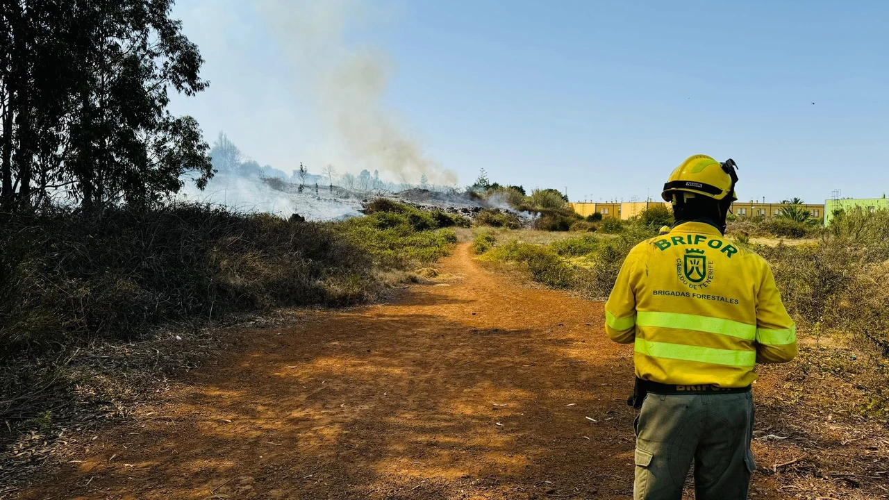 Imagen del conato de incendio en El Lance (Los Realejos) en Tenerife