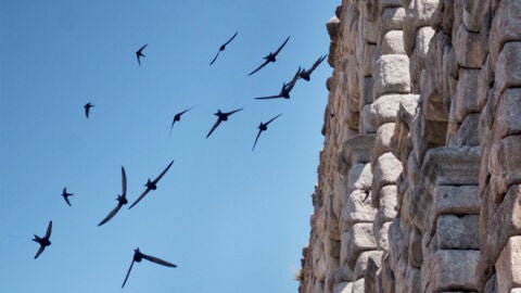 Segovia