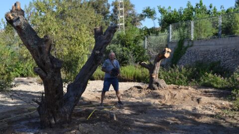 Xoriguer denuncia la desaparici&oacute;n de &aacute;rboles y tierra vegetal en la carretera de Orxeta por la inacci&oacute;n del gobierno vilero