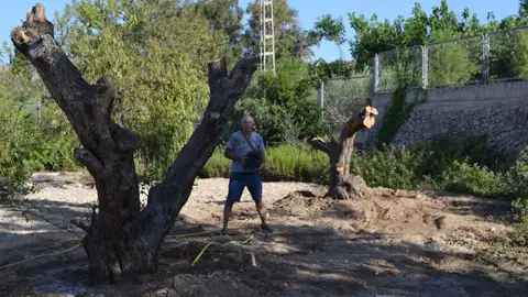 Xoriguer denuncia la desaparición de árboles y tierra vegetal en la carretera de Orxeta por la inacción del gobierno vilero Xoriguer denuncia la desaparición de árboles y tierra vegetal en la carretera de Orxeta por la inacción del gobierno vilero