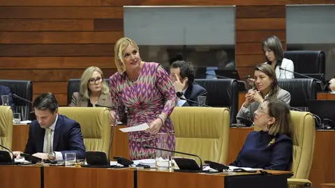 La Junta sitúa la ejecución del Presupuesto en torno al 90% a final de año mientras Unidas le reprocha la "propaganda" La Junta sitúa la ejecución del Presupuesto en torno al 90% a final de año mientras Unidas le reprocha la "propaganda"