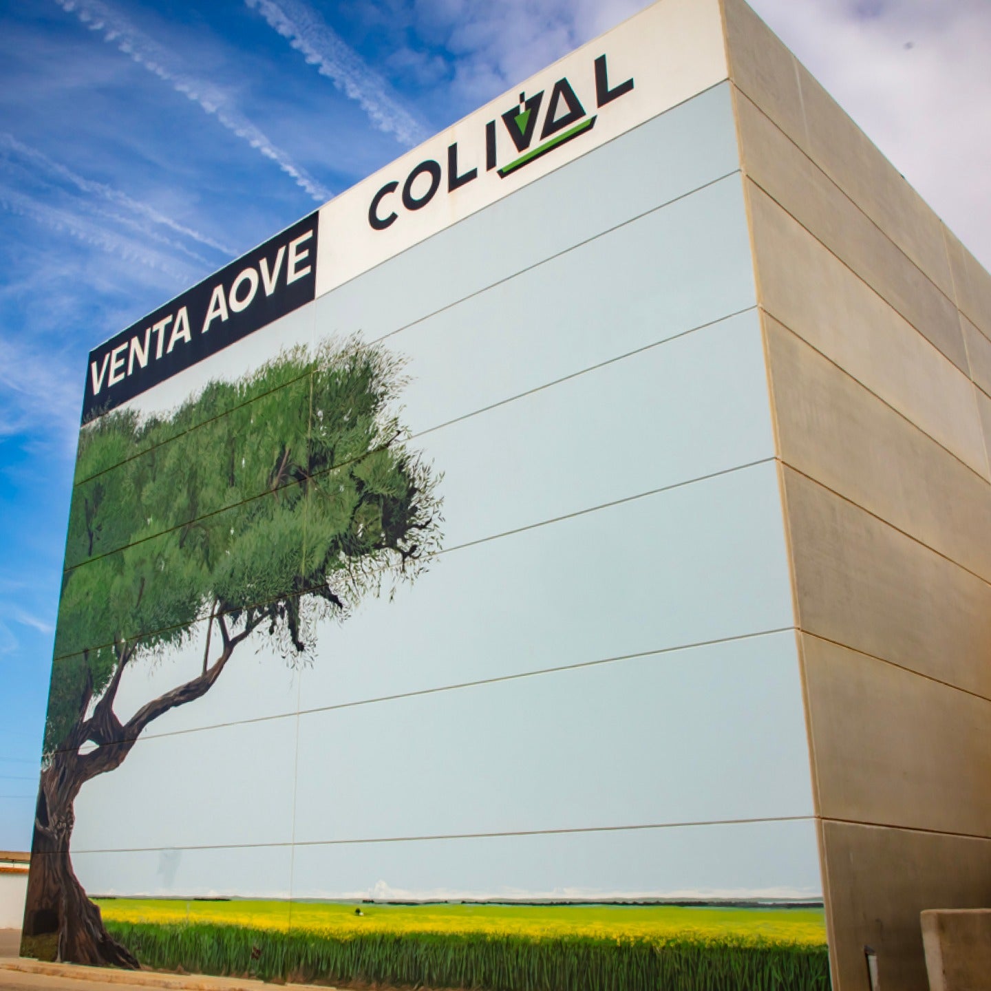 Un aceite de oliva virgen extra de la Cooperativa Olivarera de Valdepeñas entre los diez mejores del mundo Un aceite de oliva virgen extra de la Cooperativa Olivarera de Valdepeñas entre los diez mejores del mundo