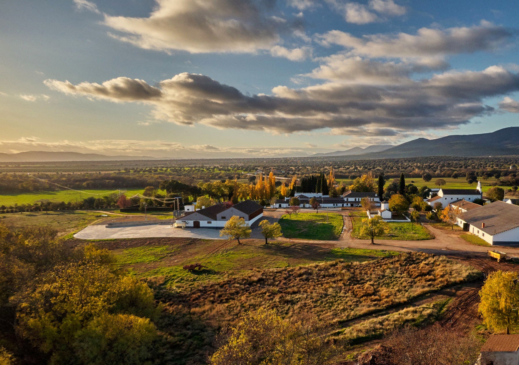 Un aceite de oliva virgen extra de Retuerta del Bullaque, elegido como el mejor del mundo Un aceite de oliva virgen extra de Retuerta del Bullaque, elegido como el mejor del mundo