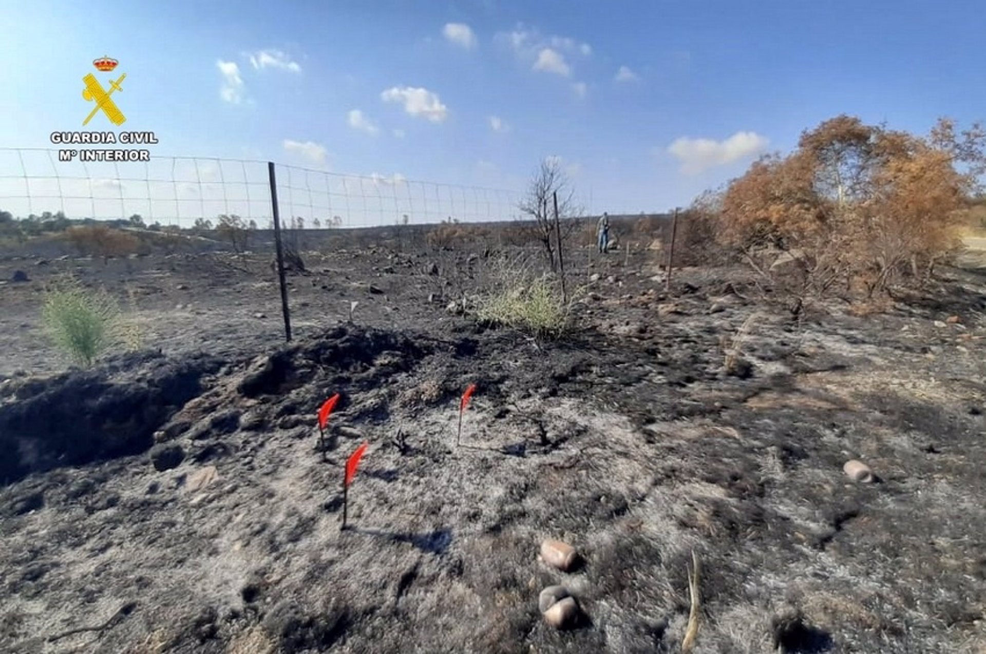 Investigadas dos personas por su presunta implicación en un incendio forestal en Alange que quemó 50 hectáreas Investigadas dos personas por su presunta implicación en un incendio forestal en Alange que quemó 50 hectáreas