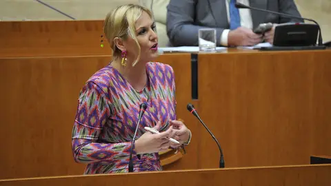 Primer aviso de Vox al PP de cara a los Presupuestos extremeños tras tumbar el Decreto de Vivienda y escenificar la minoría popular Primer aviso de Vox al PP de cara a los Presupuestos extremeños tras tumbar el Decreto de Vivienda y escenificar la minoría popular