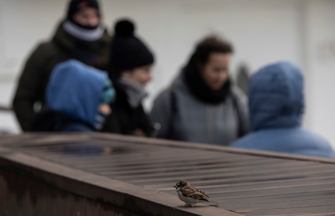 Un frente frío asociado a la borrasca Bert trae este lunes más nubes, lluvias y viento Un frente frío asociado a la borrasca Bert trae este lunes más nubes, lluvias y viento