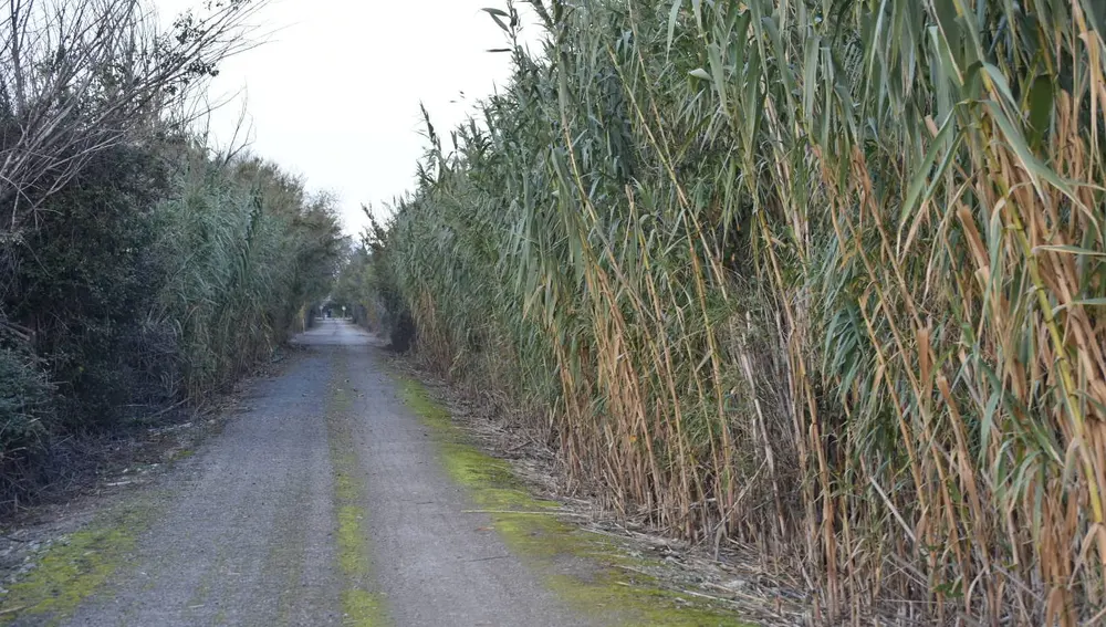Vía Verde del Tarazonica Vía Verde del Tarazonica