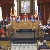 Pleno municipal de noviembre en Elche. Pleno municipal de noviembre en Elche.