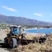 Tractor recogiendo cañas de una playa en Marbella
